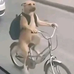 av